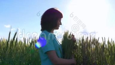 一个年轻的女人手里拿着一堆麦穗。 女孩`手指慢慢地触摸着绿色的麦穗